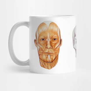 Human skull anatomical drawing, scientific illustration Mug